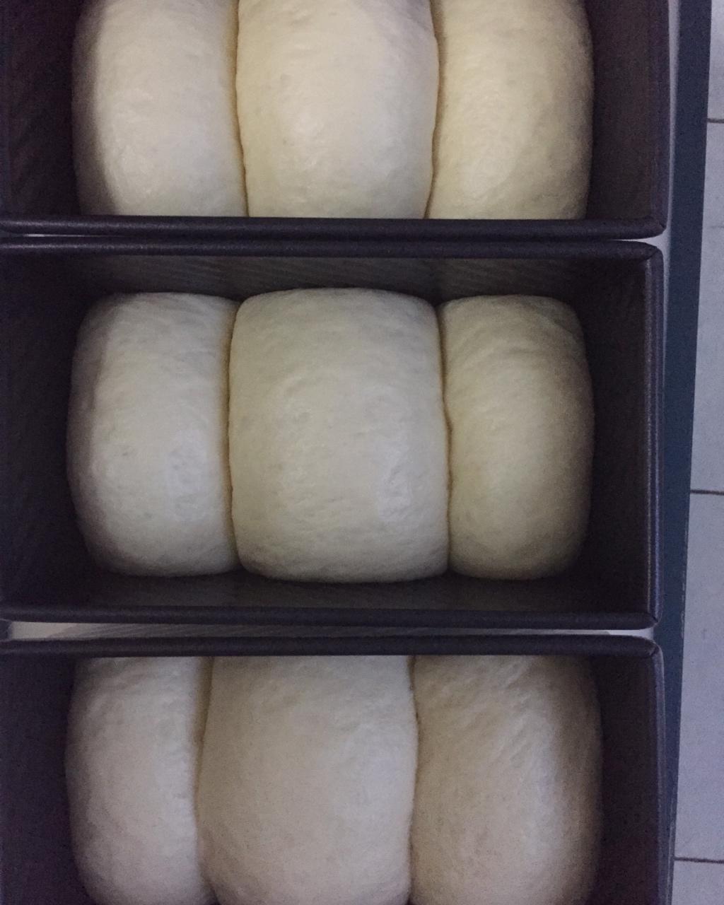 【爱和自由】老面包