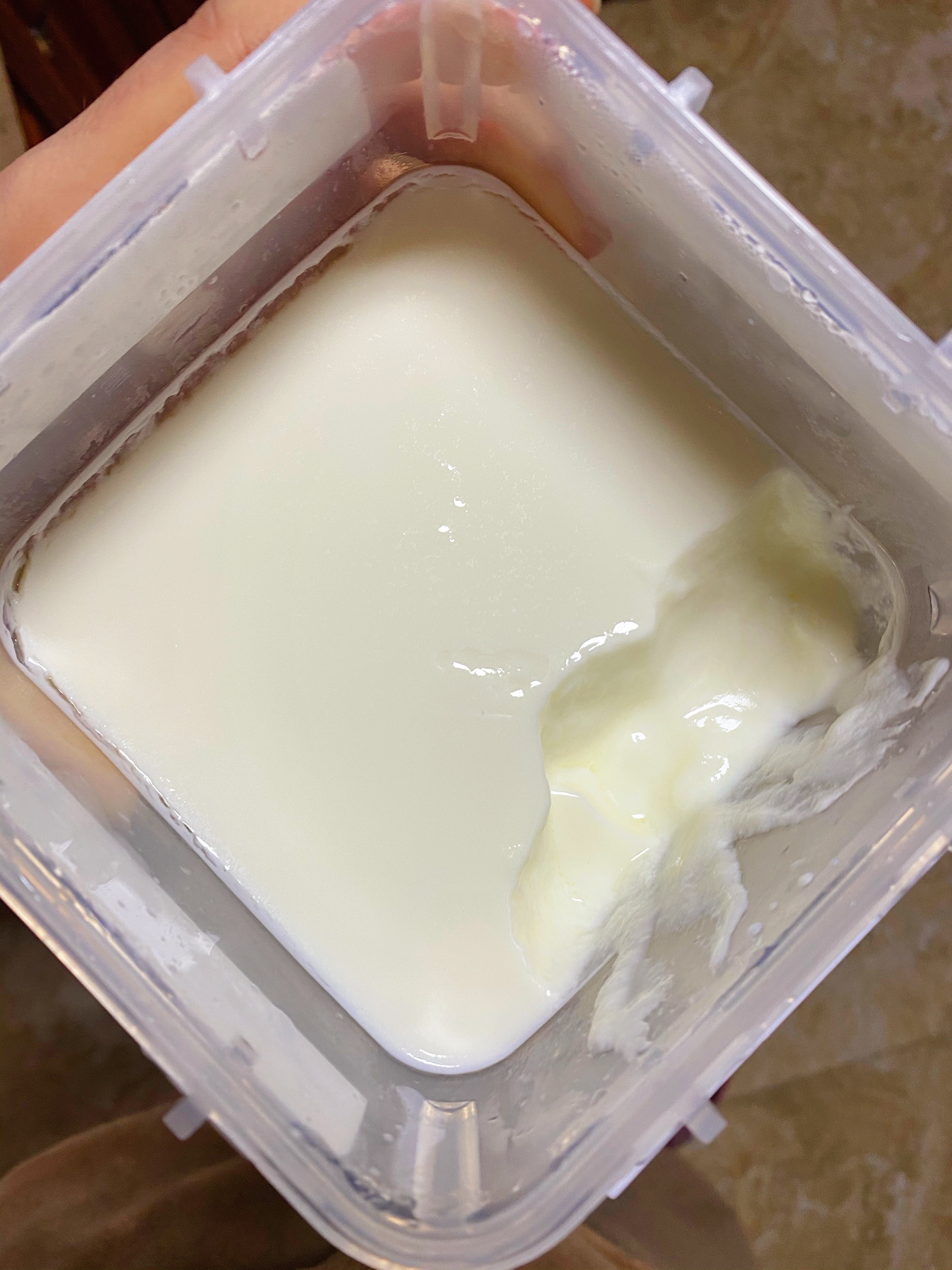 自制浓稠老酸奶的做法
