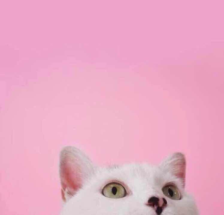 yuiiiiiii