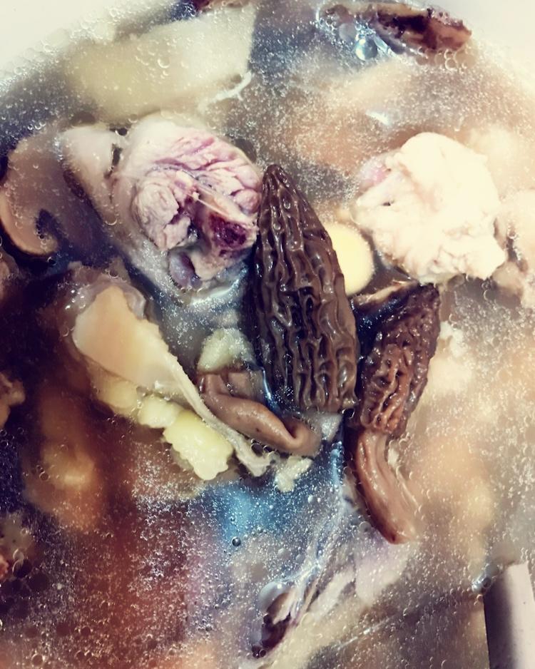 松茸、羊肚菌浸鸡