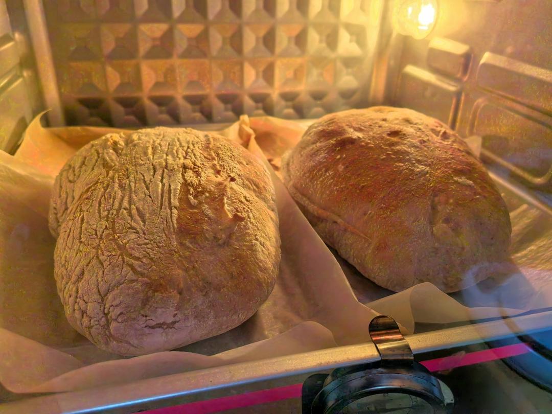 意大利恰巴塔初体验｜无糖少油面包｜波兰种｜大水量