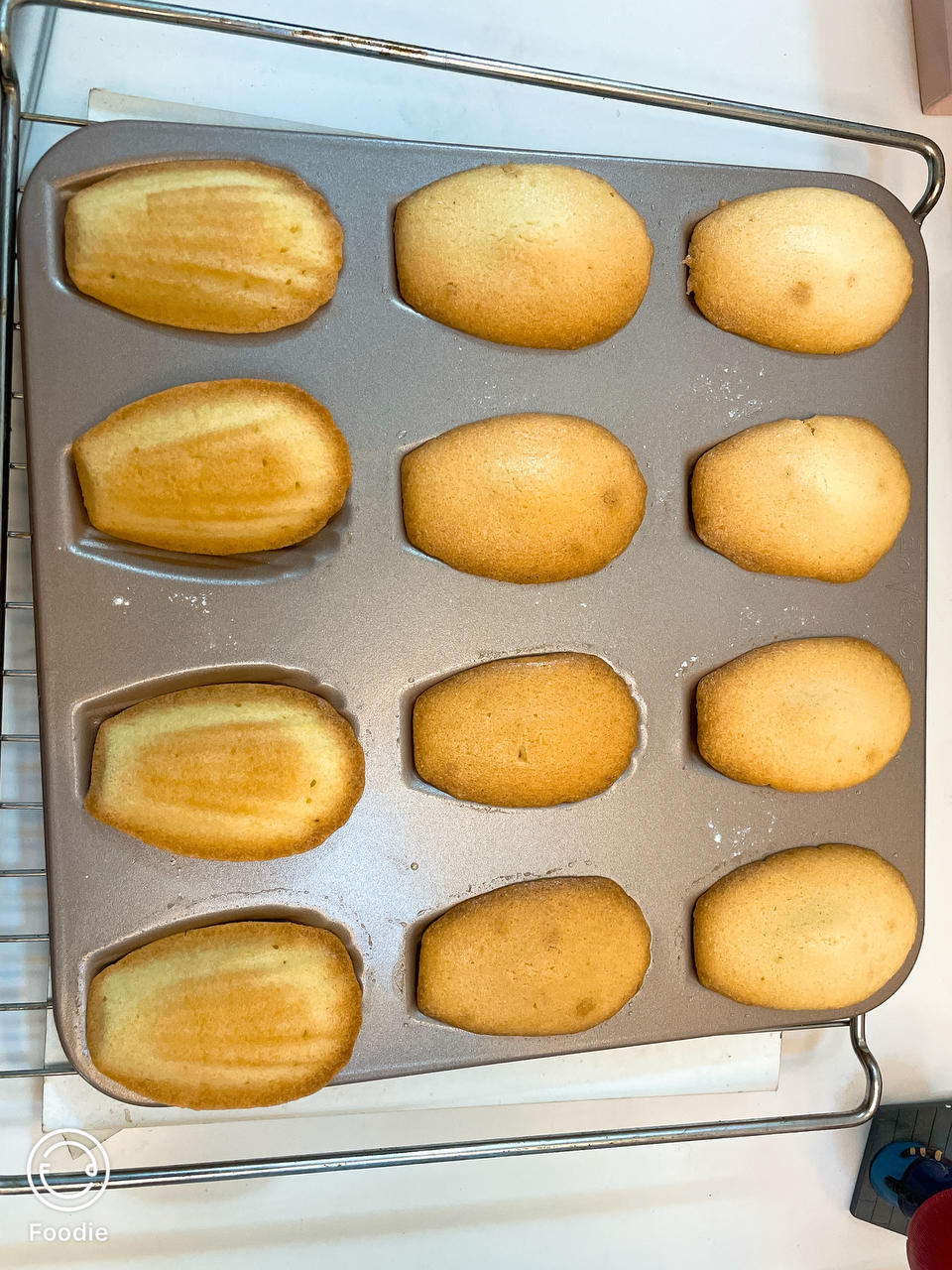 经典原味玛德琳蛋糕