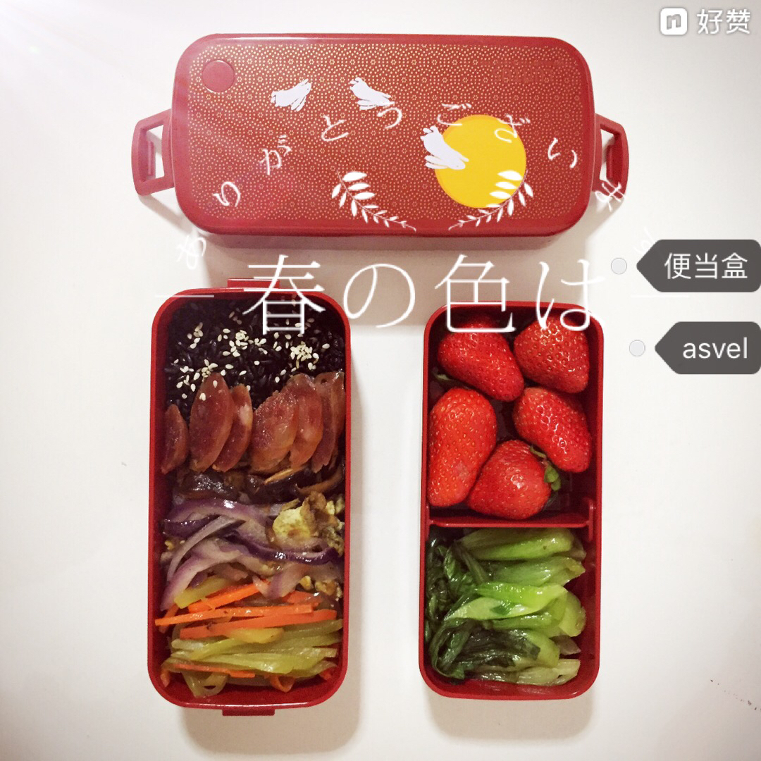 便当盒