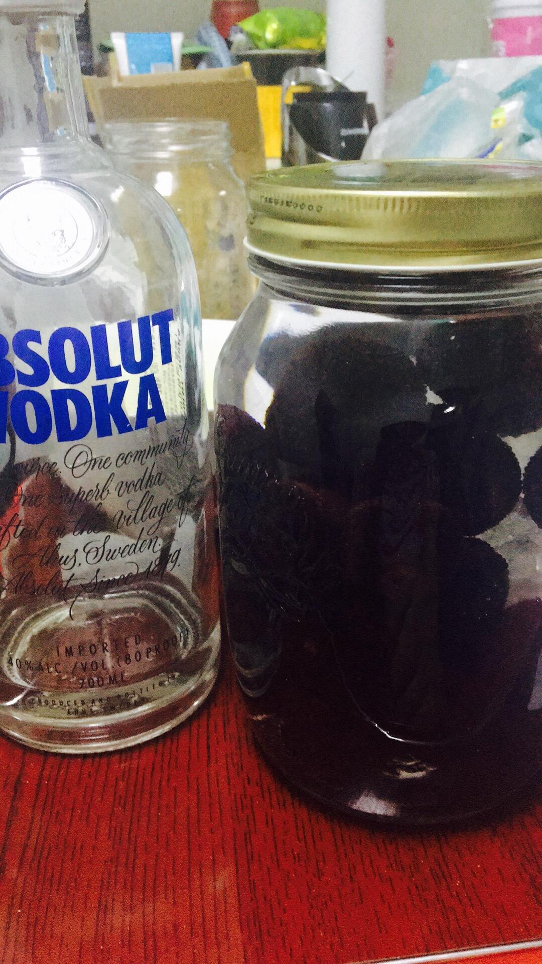 伏特加杨梅酒的做法