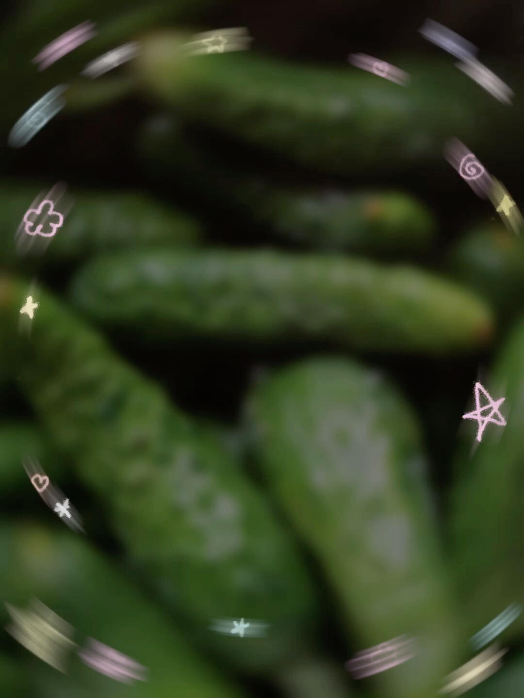腌黄瓜🥒
