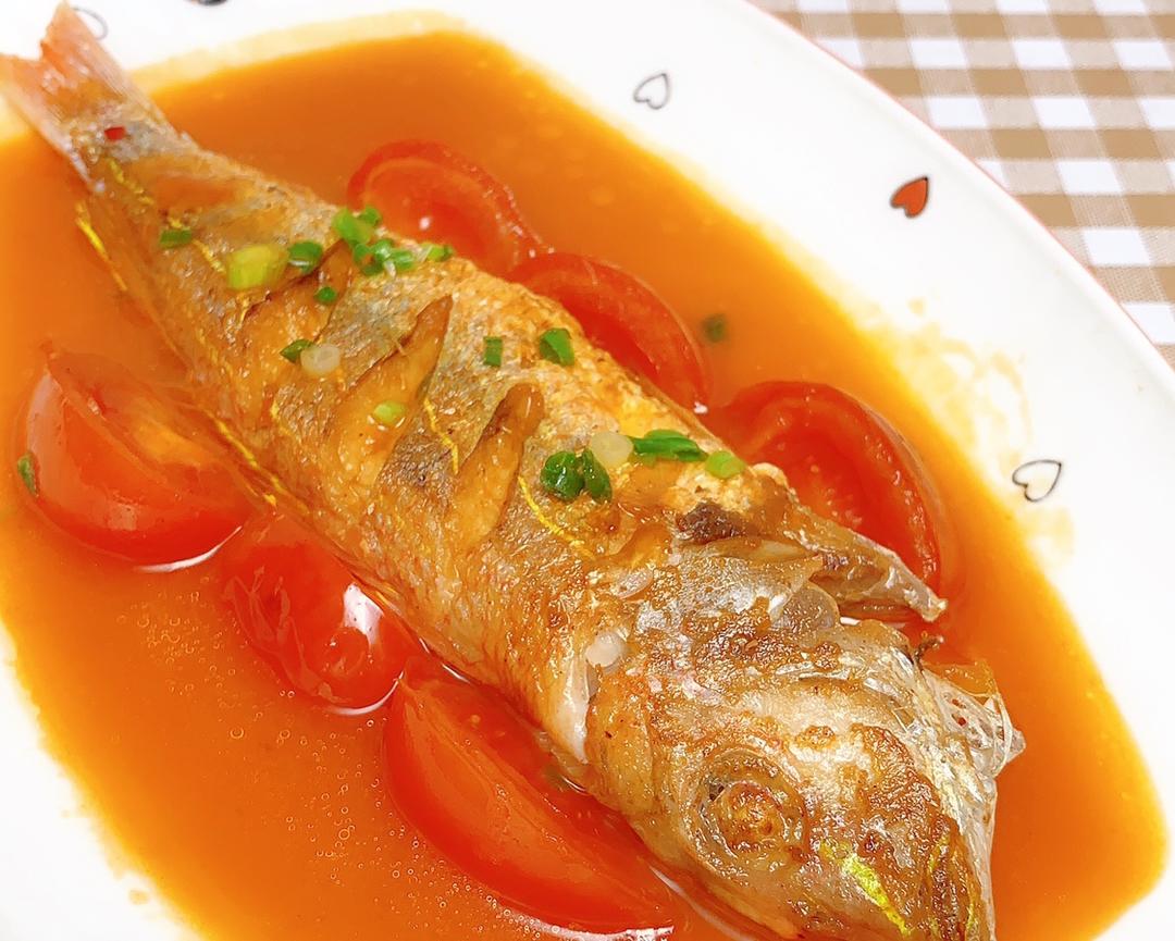番茄红杉鱼
