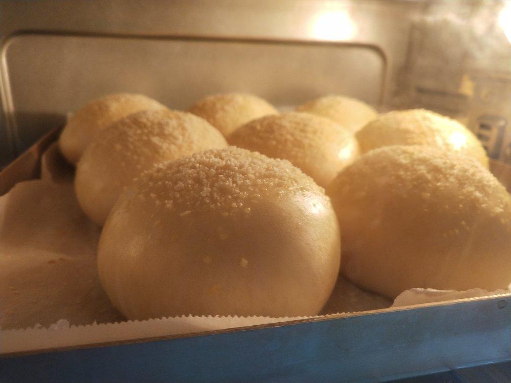 100%中种冷藏发酵