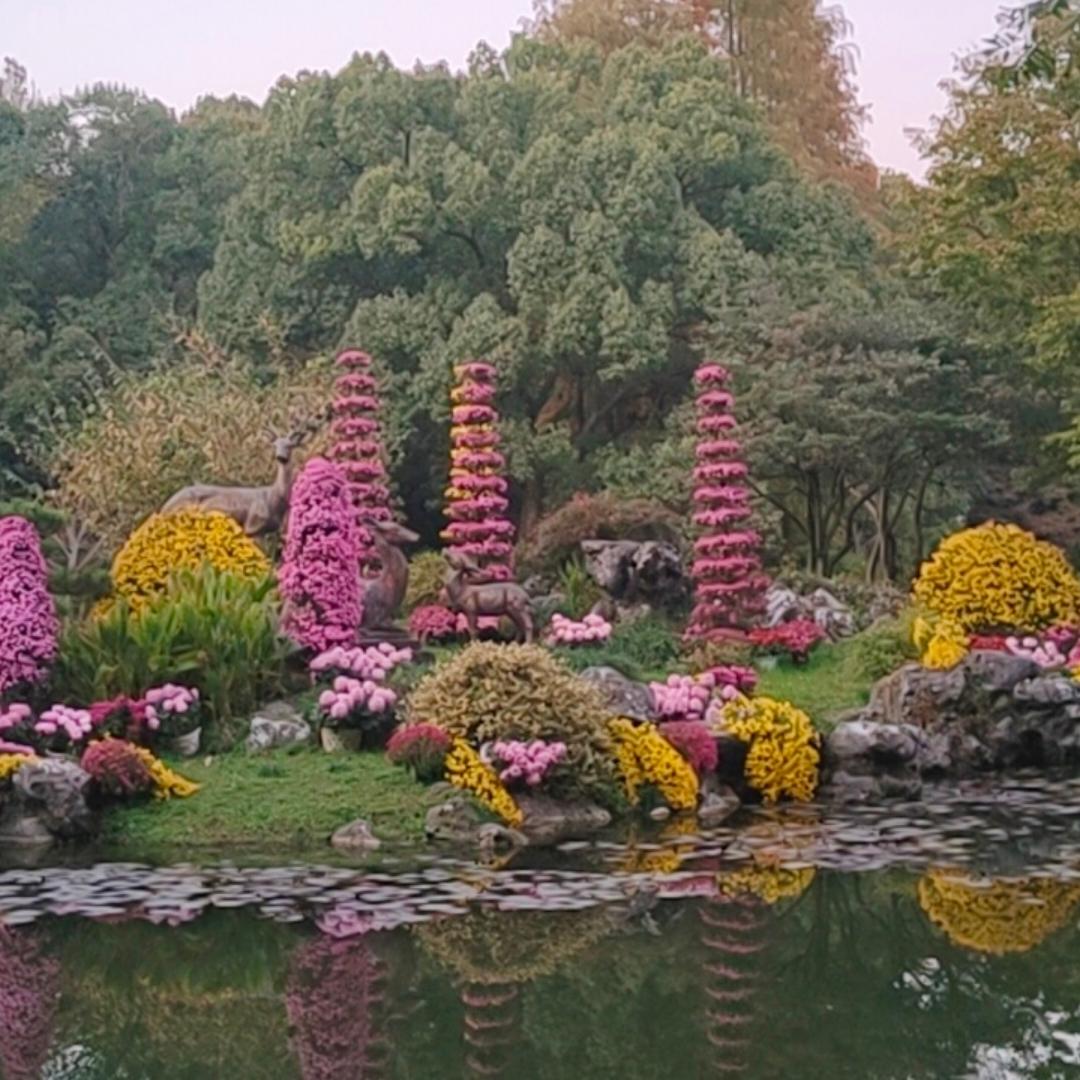 轻歌曼舞爱生活