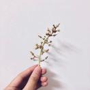 偶尔爱动手的zoezoe