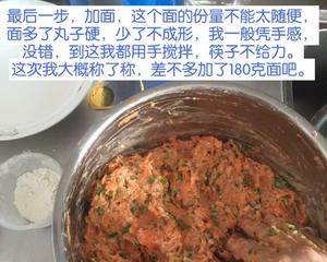 炸胡萝卜肉丸子的做法 步骤5