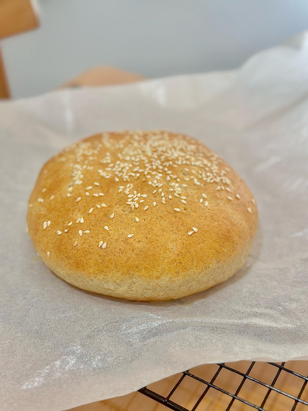 蒙古奶酪饼