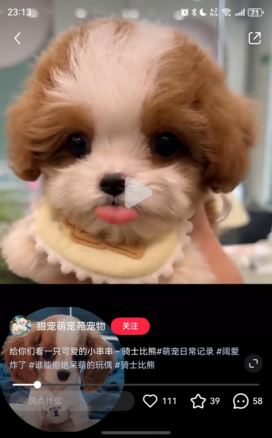 玉米马蹄胡萝卜饺子
