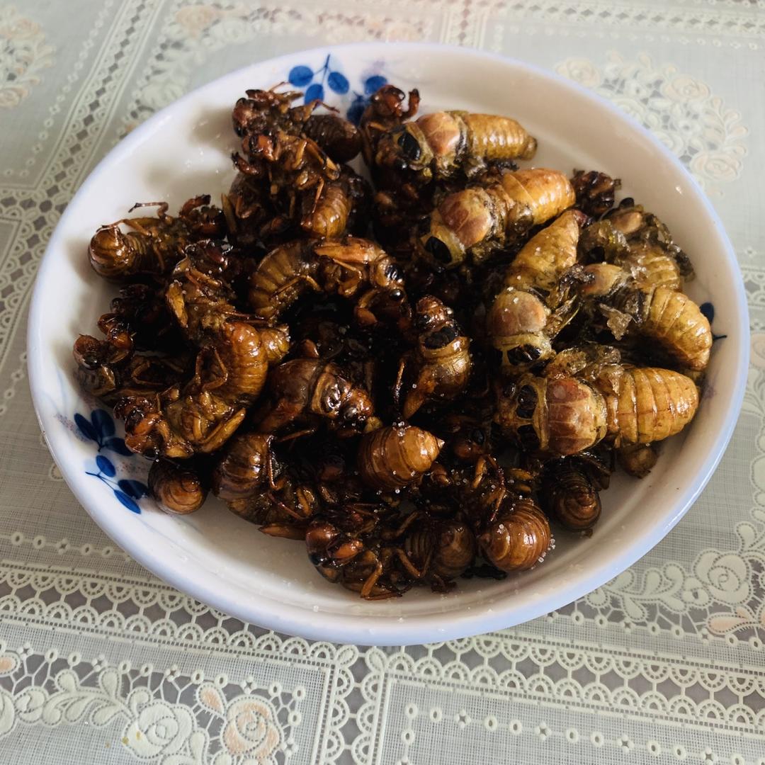 油炸金蝉