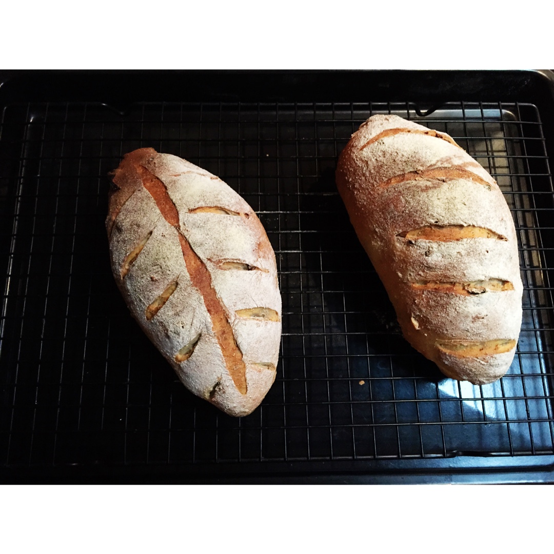 全麦核桃包～软欧包