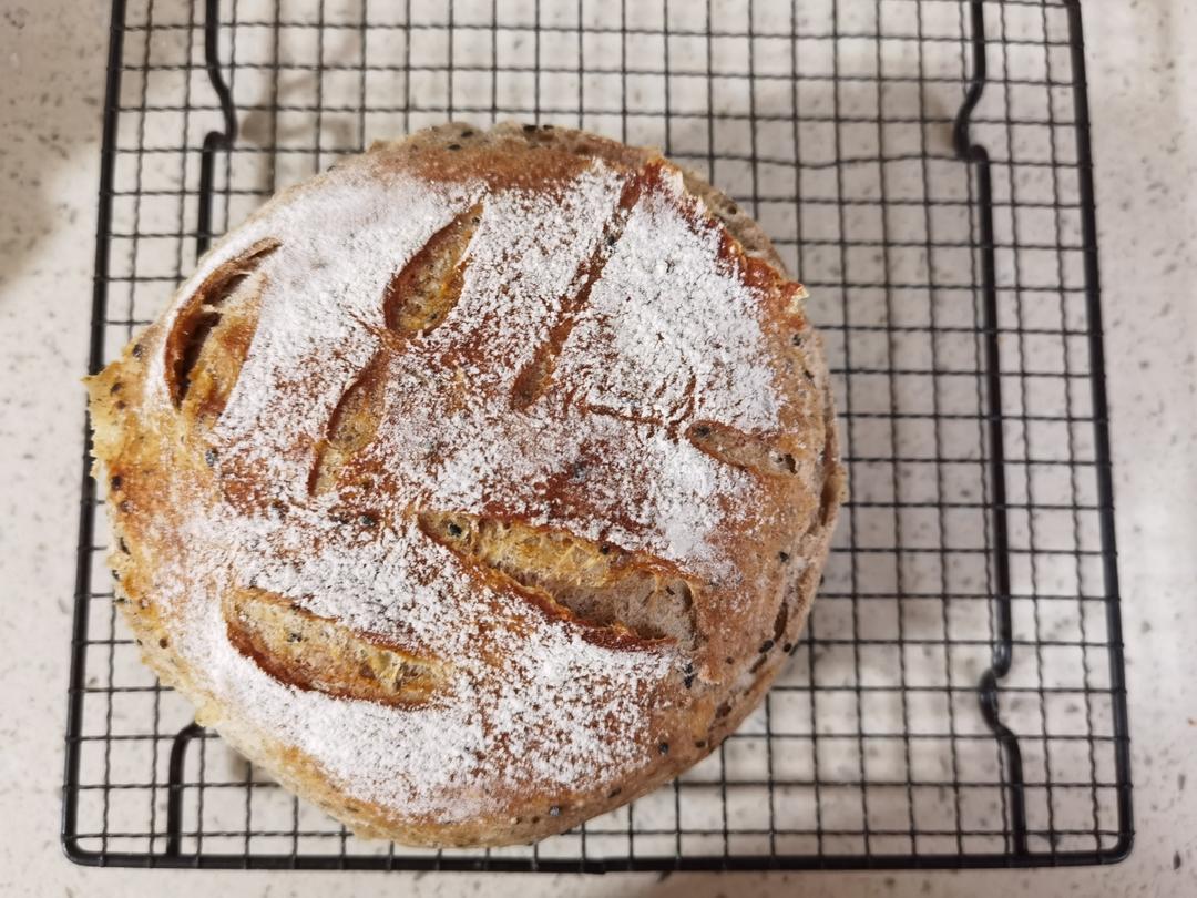 欧包的秘密（免揉/大孔洞/核桃/超简单）