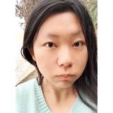毛线团爱猫