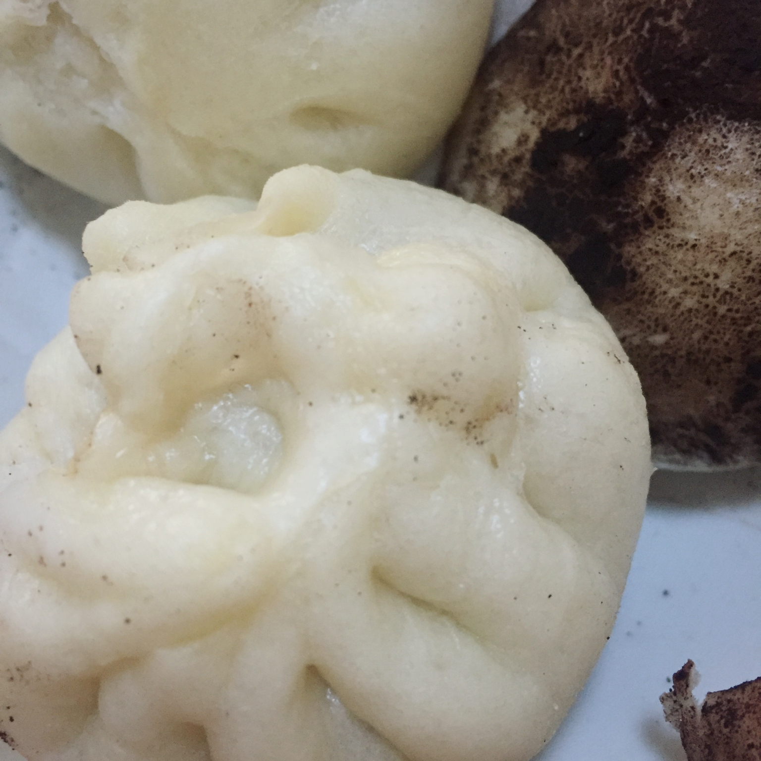 【曼食慢语】鲜肉包子