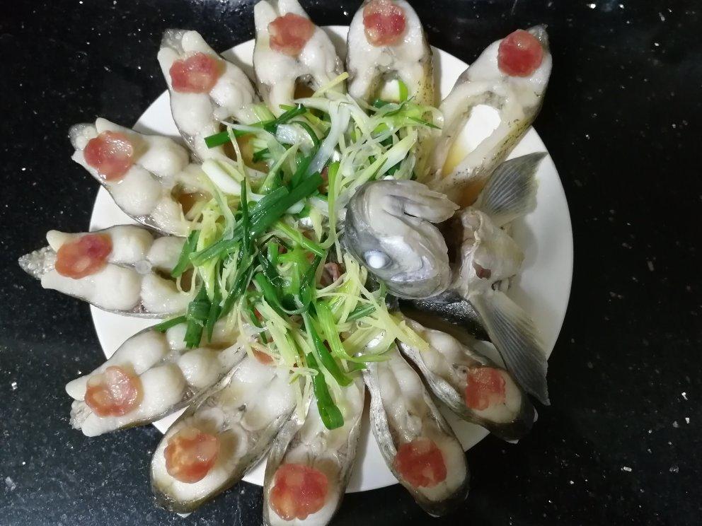 孔雀开屏鱼.