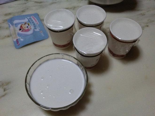 自制酸奶……东菱面包机版的做法