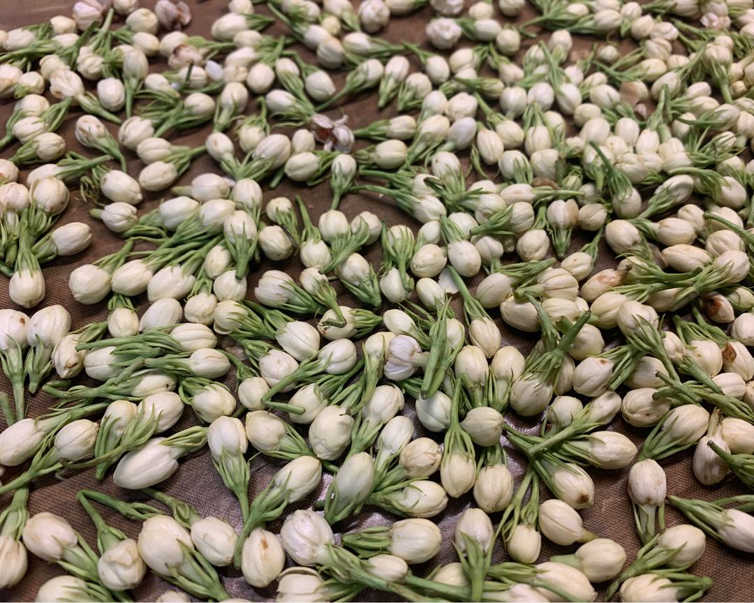 干焙茉莉