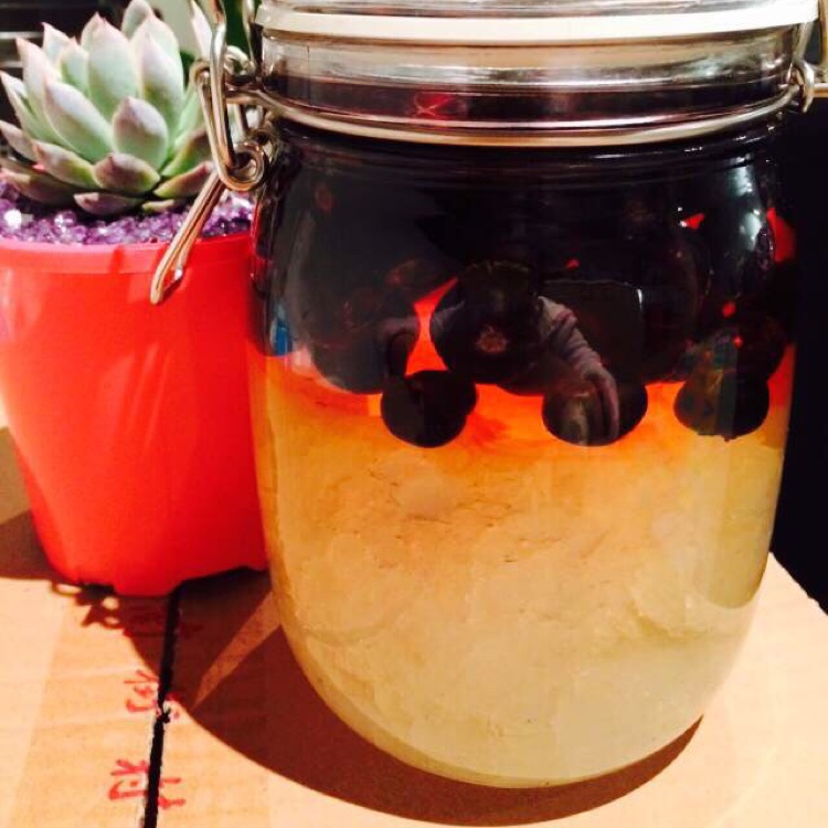 无-吴做的蓝莓醋