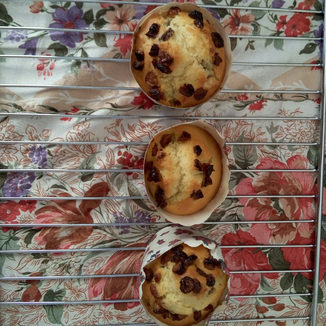 少女心的香蕉蔓越莓玛芬