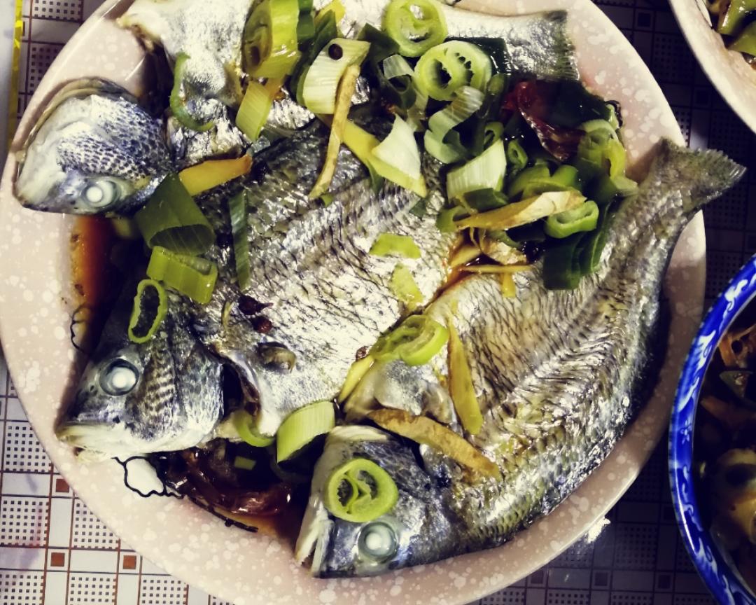 清蒸海富鱼(学名鲷鱼)