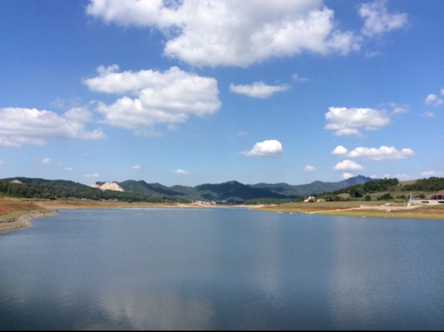 桂浩子