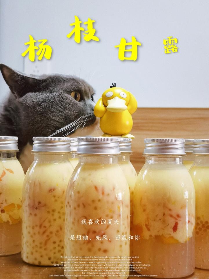 五块/瓶-自制杨枝甘露