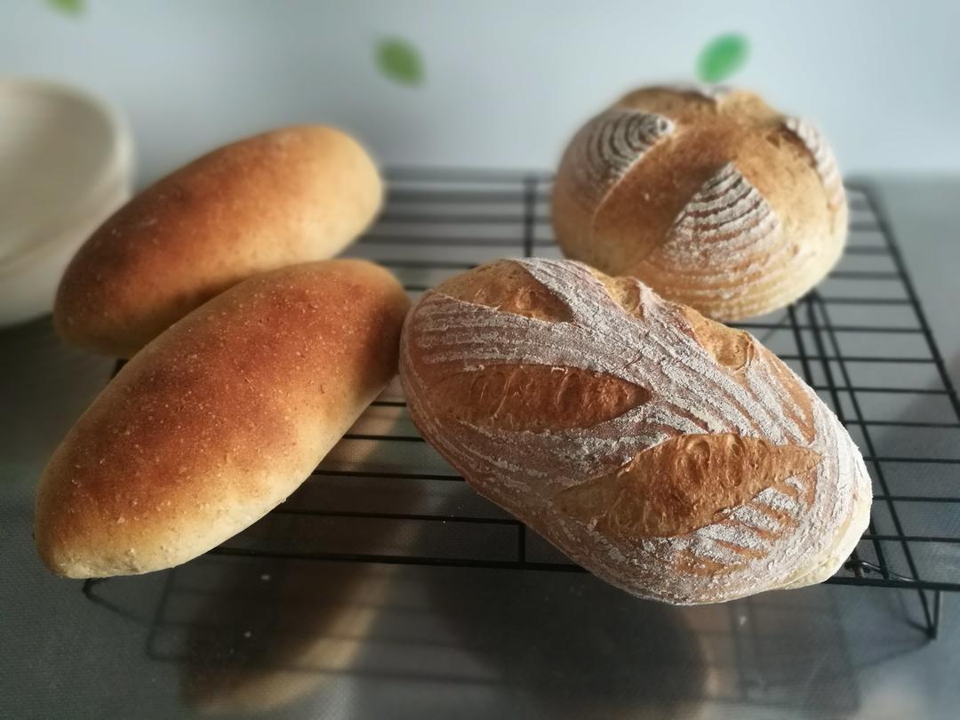 【健康无添加面包】芒种麦香面包