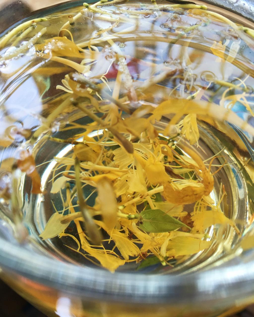 喵喵卢分享作品午餐612018年5月17日大热的天,喝点金银花茶#午餐