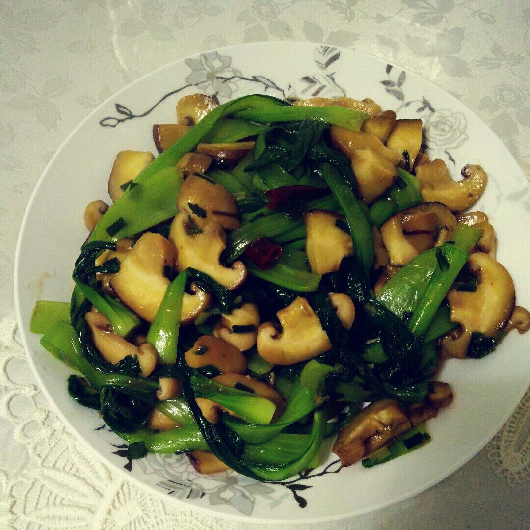 难度★ 耗油香菇青菜（附香菇挑选清洗技巧和绿叶菜焯水技巧）