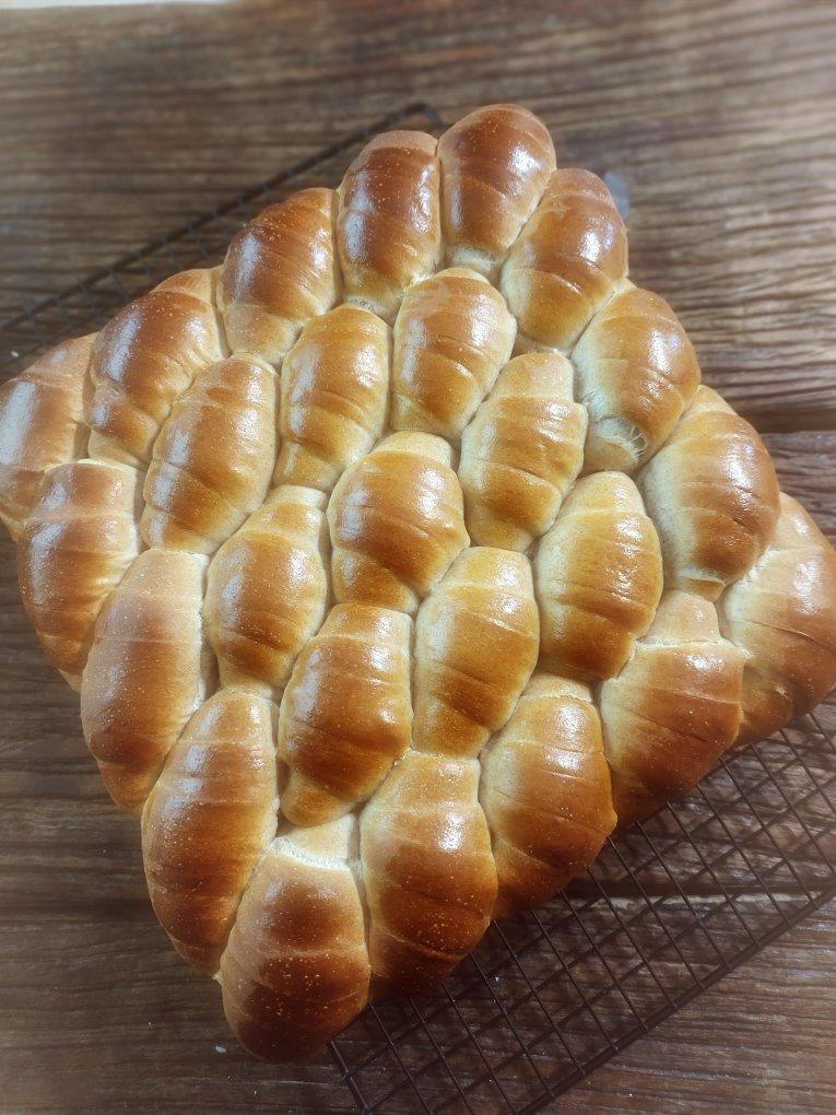 “揪揪家族”之全麦小揪揪