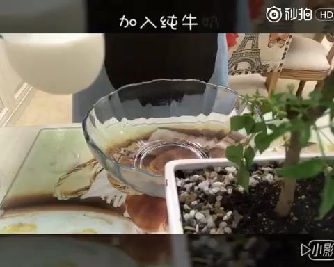 冰淇淋粉冰淇淋的做法