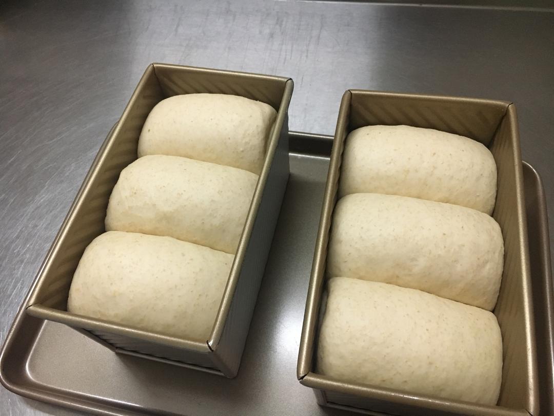 我的100个吐司练习