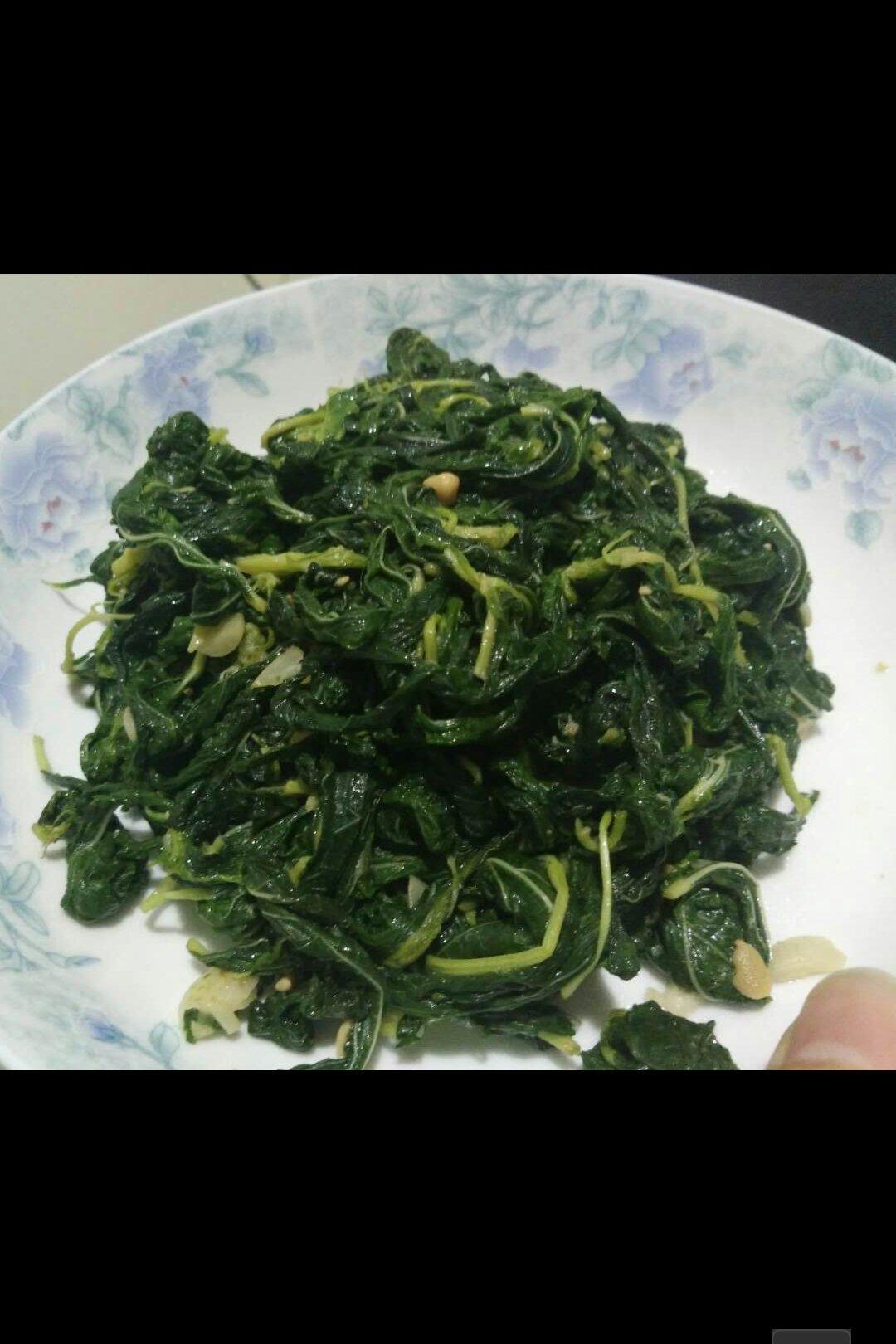 麻叶