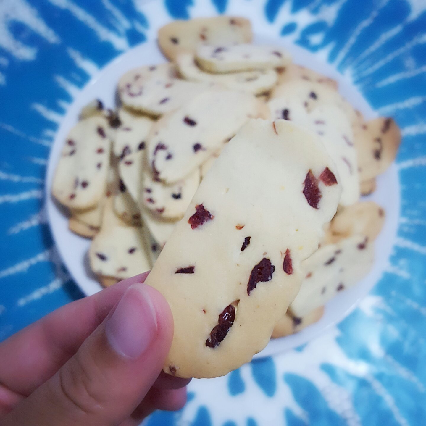 蔓越莓饼干（君之配方改良，易操作版）
