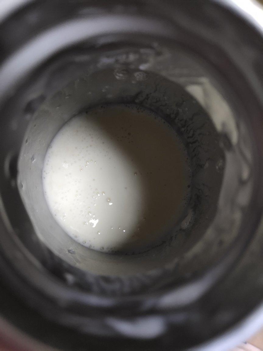 减肥版自制酸奶🍶超详细✨无酸奶机菌粉—奶粉焖烧杯版