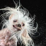 韩小初初初回了蓝溪