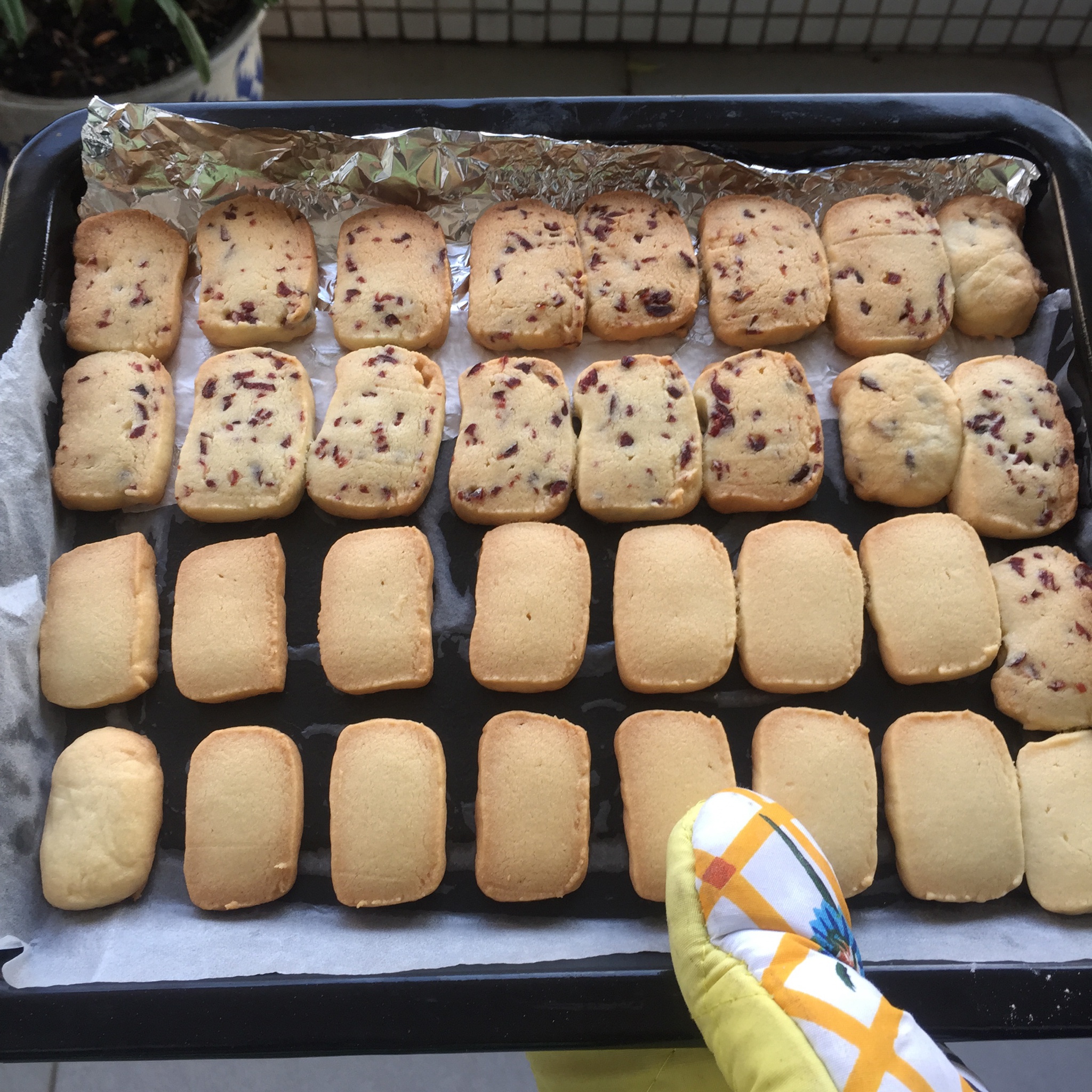 蔓越莓饼干 蔓越莓曲奇