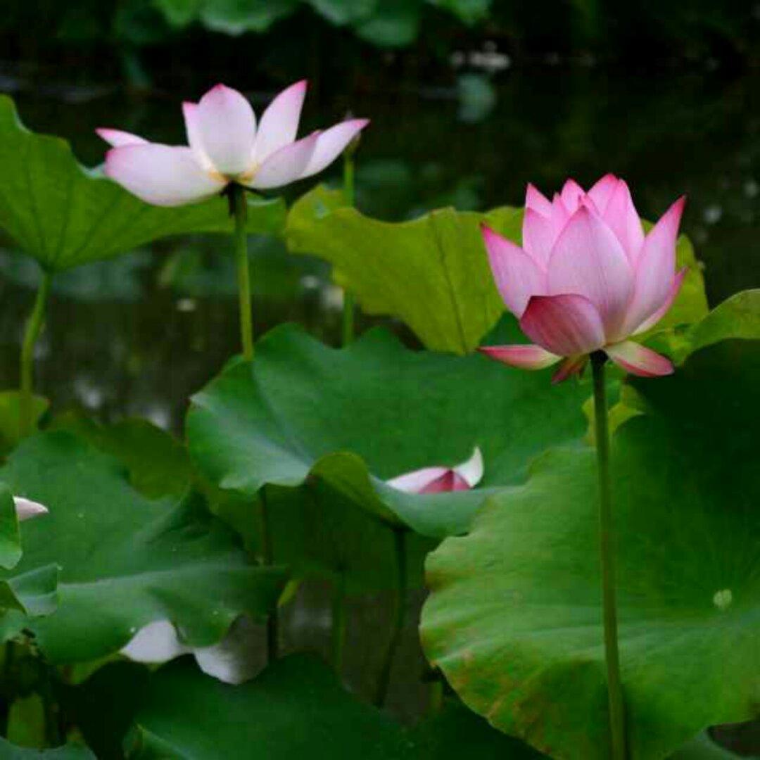霞光私房菜