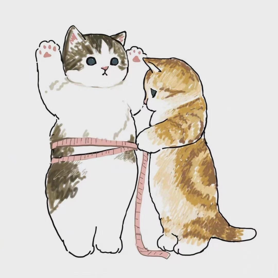 小傅家养猫猫虫