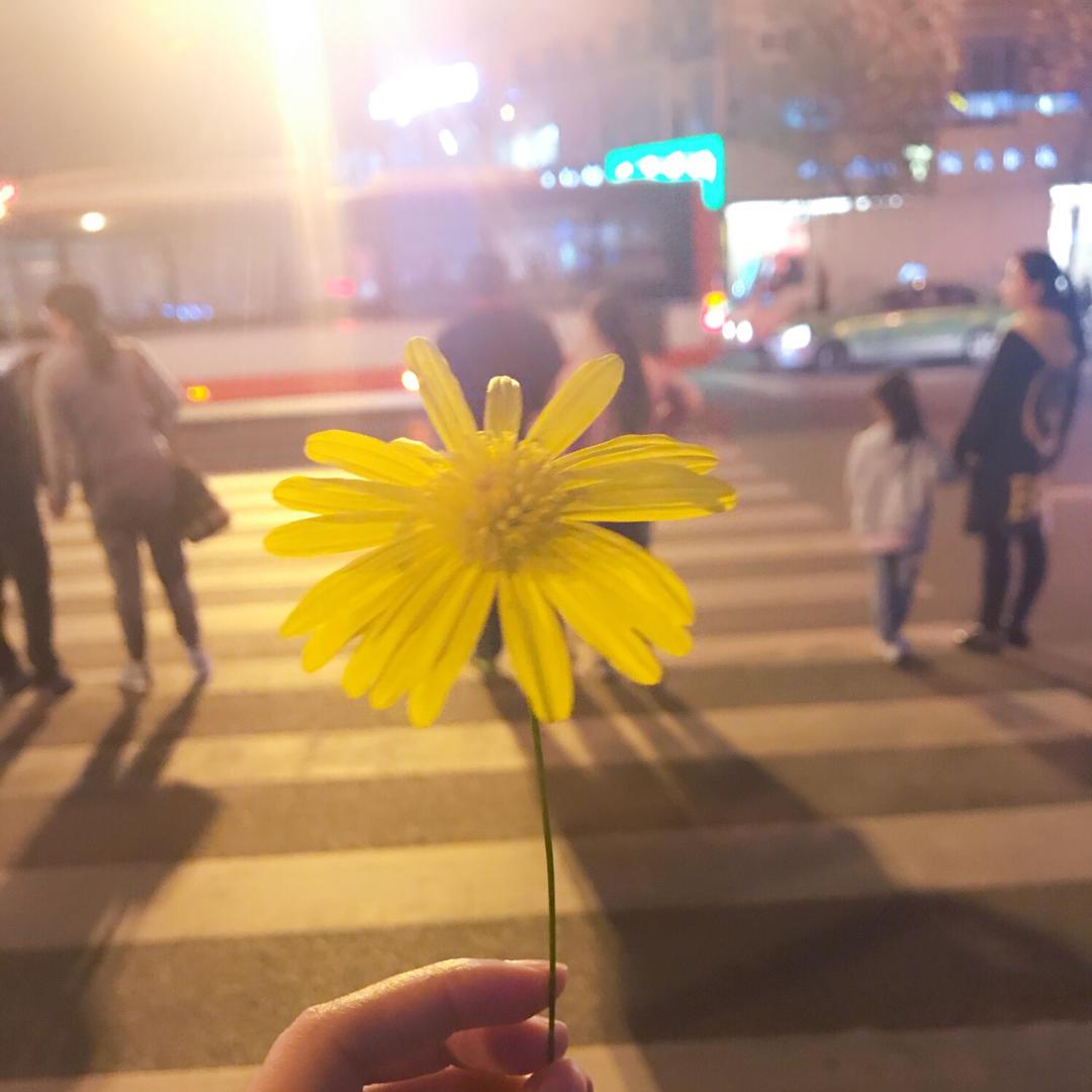 哇哈哈心酸