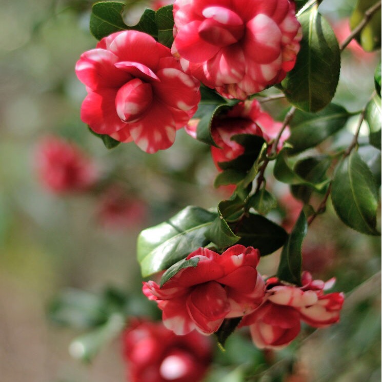 手机用户4836_uwda