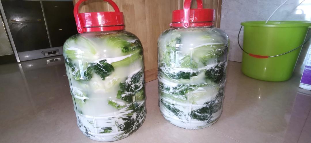 金黄酸脆的黄金泡菜。