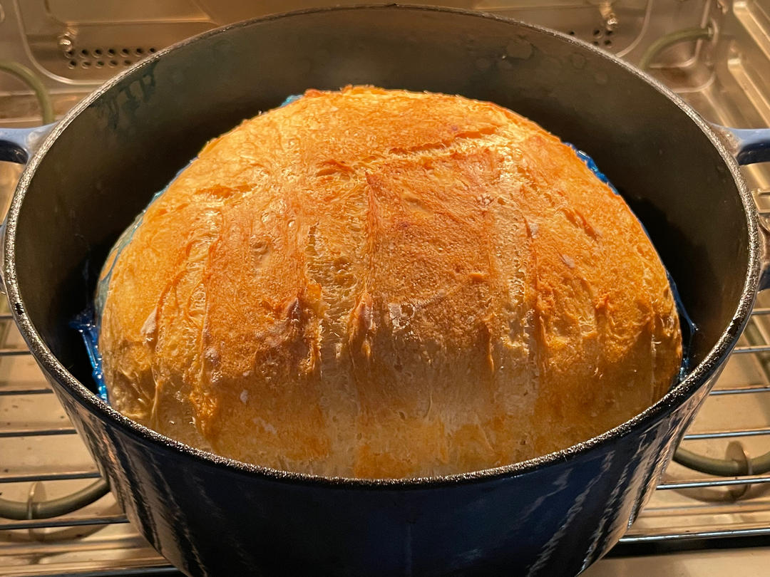 无油！无糖！免揉！珐琅锅欧包！