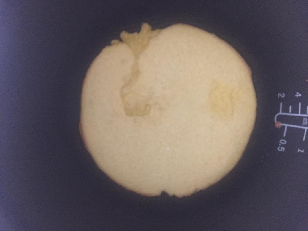 电饭锅蛋糕（早餐佳品）