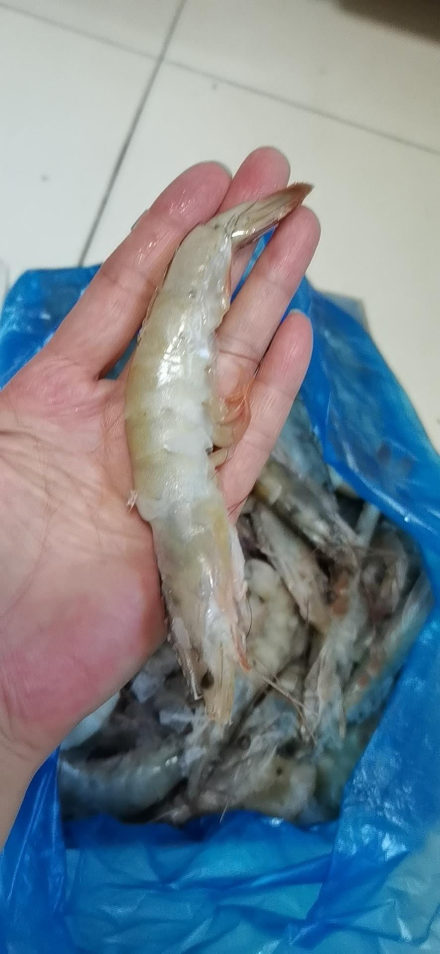 手把手教你五分钟快手油焖虾