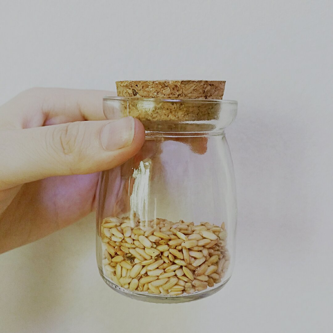 玄米茶