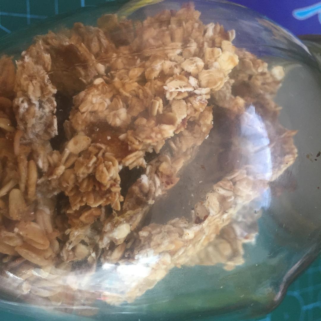纯香蕉燕麦核果能量饼干